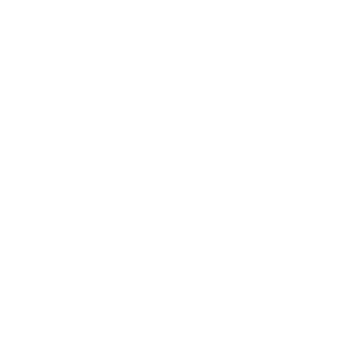 Icône 4