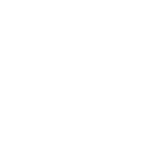 Icône 1